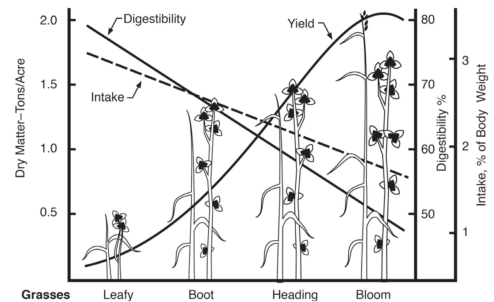 Fig. 03: Illustration showing relative yield, quality, and intake of grasses and legumes.